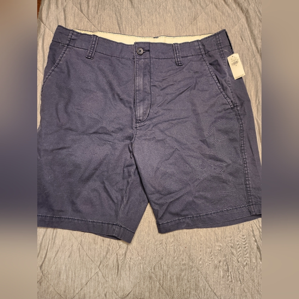 Old Navy Blue Flat Front Shorts